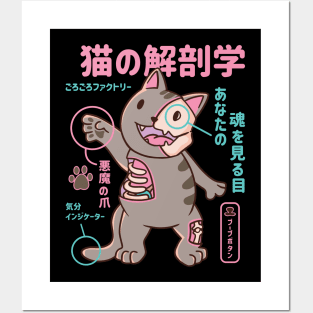 Japanese X-Ray Cat Anatomy Posters and Art